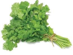 Coriander (Dania)