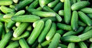 Cucumber