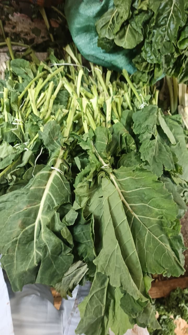 Kale (Sukuma Wiki)