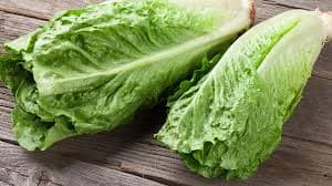Lettuce
