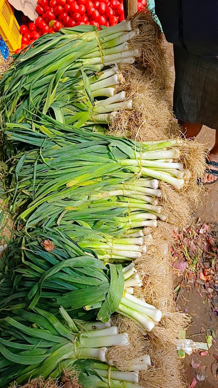 Spring Onions