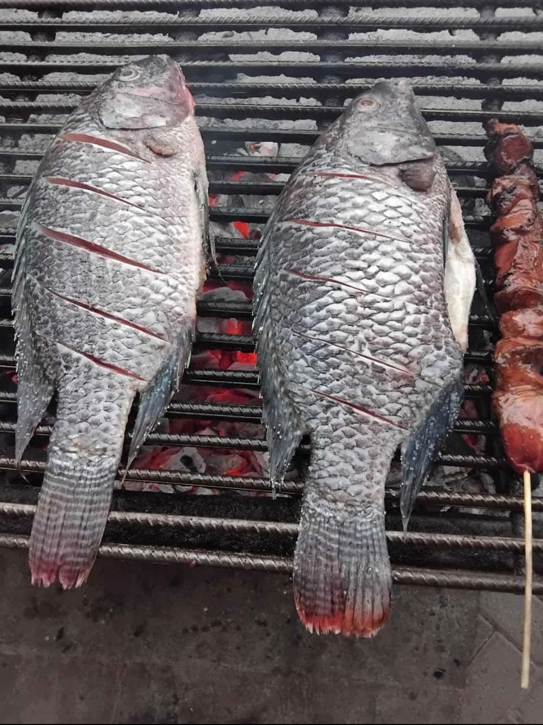 Fish Choma